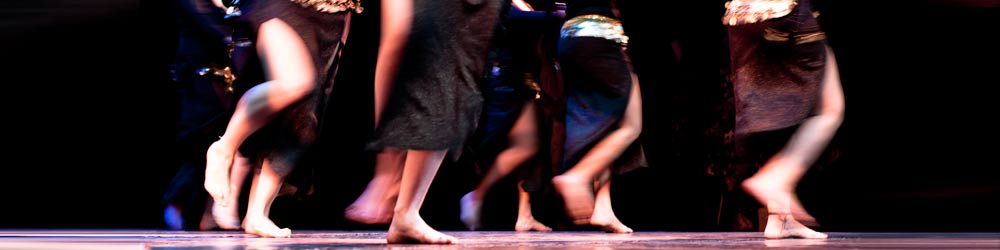 Escuela de Danza del Vientre Chris Ribeiro
