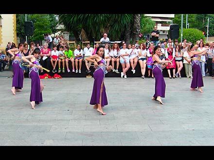 35ª Mostra de Dansa de Cerdanyola