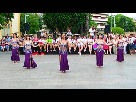 35ª Mostra de Dansa de Cerdanyola