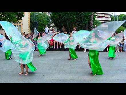 35ª Mostra de Dansa de Cerdanyola